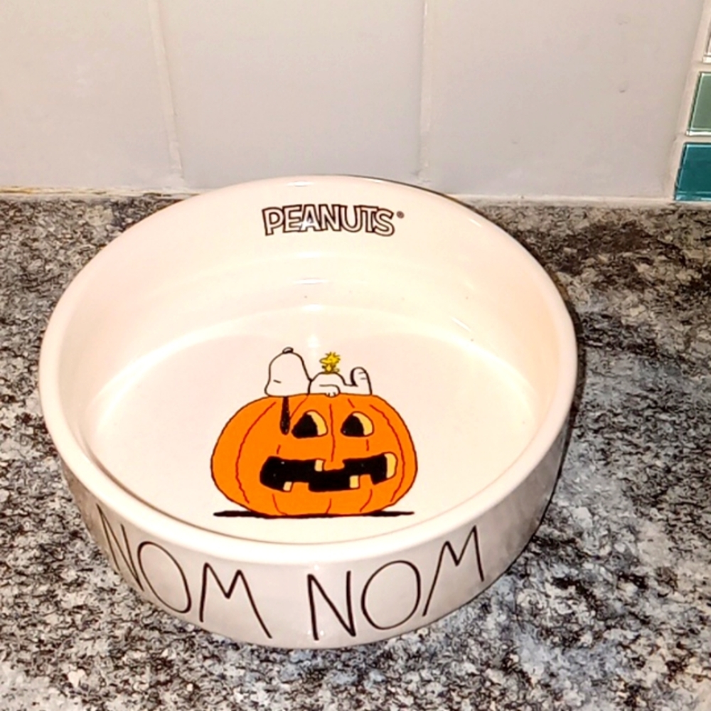 Rae Dunn  Snoopy Bowl BRAND NEW